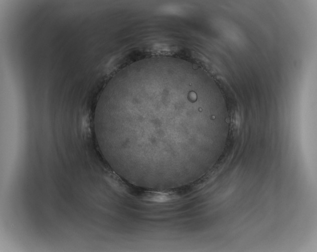 X0000112730663200908201327