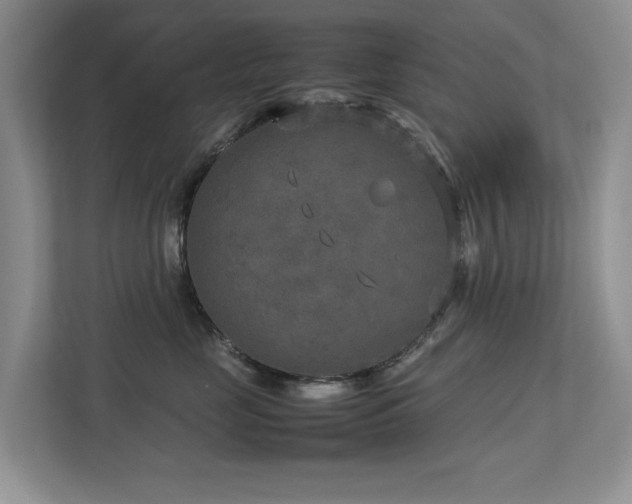 X0000112730669200908201327