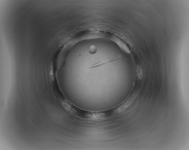 X0000112730670200908201327