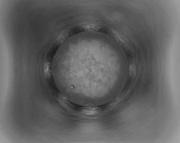 X0000112730671200908201327