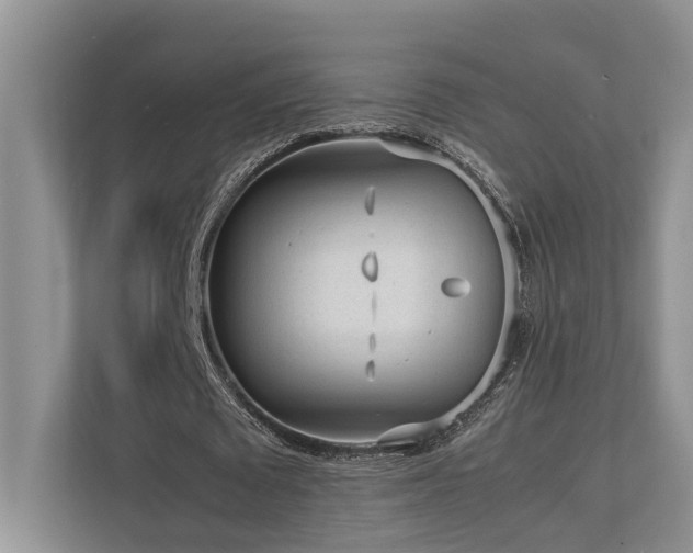 X0000112730673200908201326