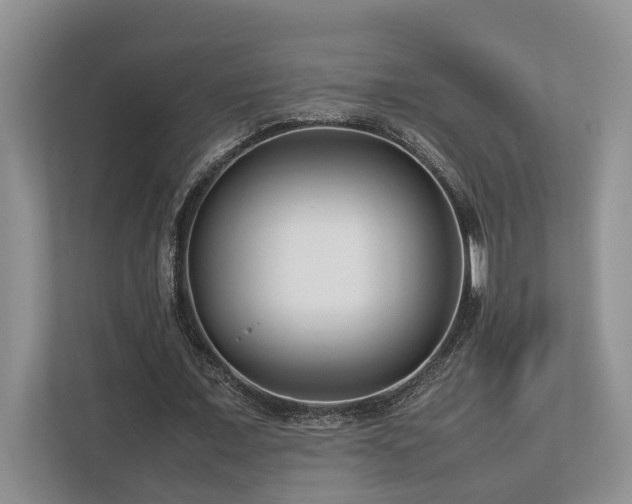 X0000112730675200908201326