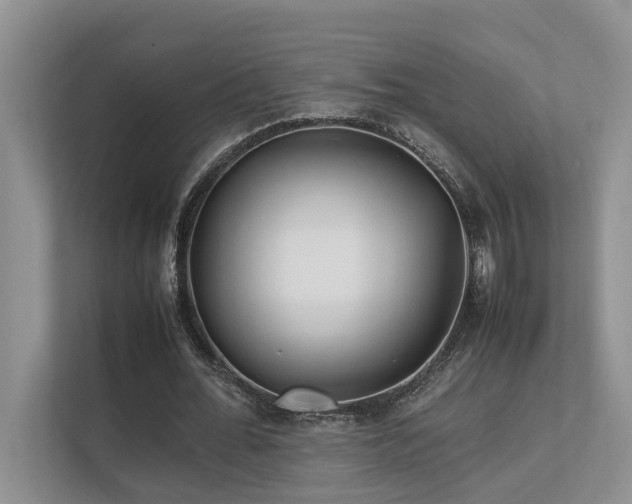 X0000112730676200908201326