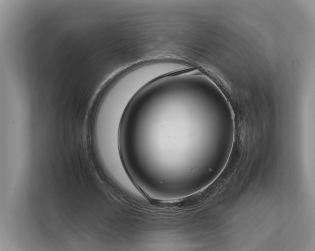 X0000112730680200908201326