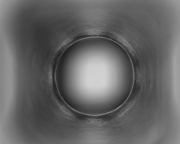 X0000112730681200908201326