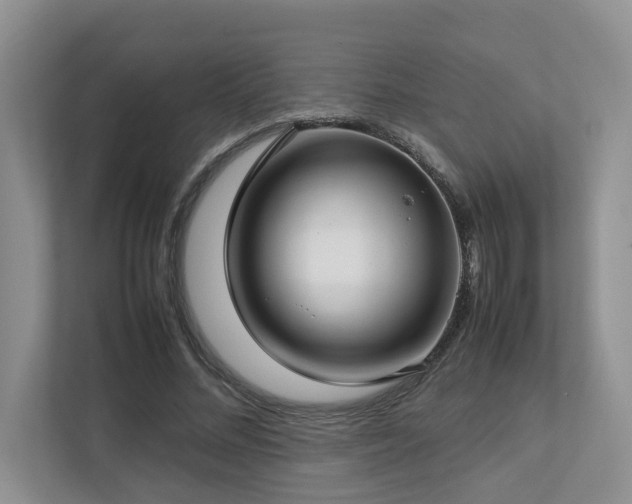 X0000112730684200908201326