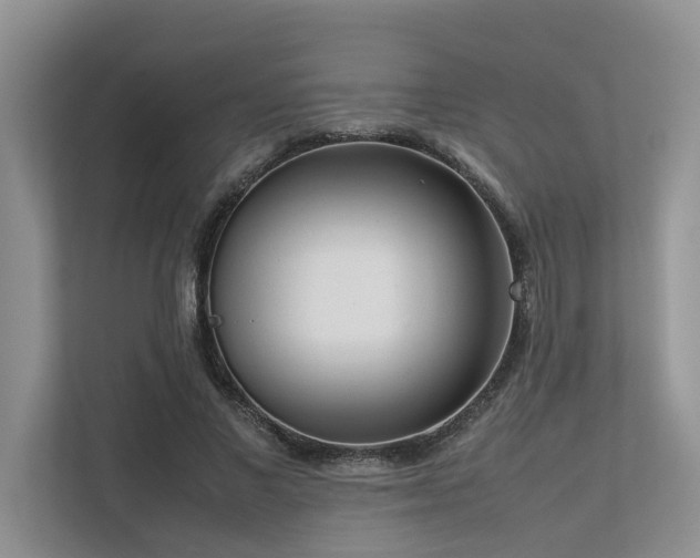 X0000112730685200908201326