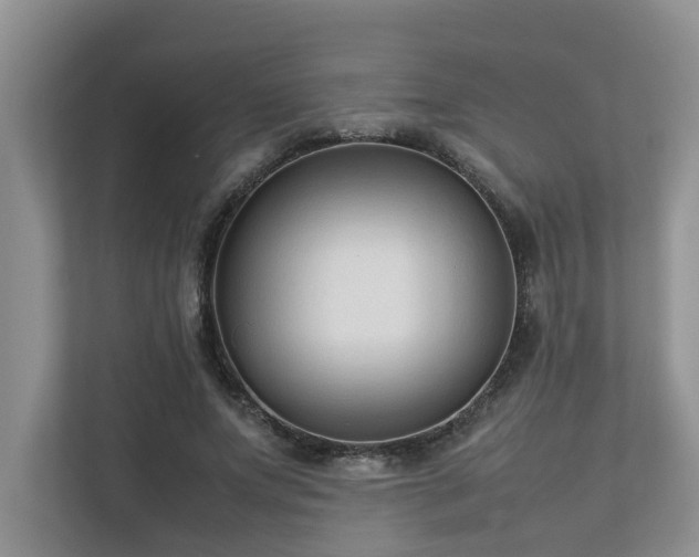 X0000112730687200908201326