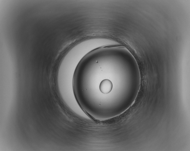 X0000112730688200908201326