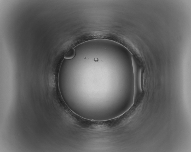 X0000112730689200908201326