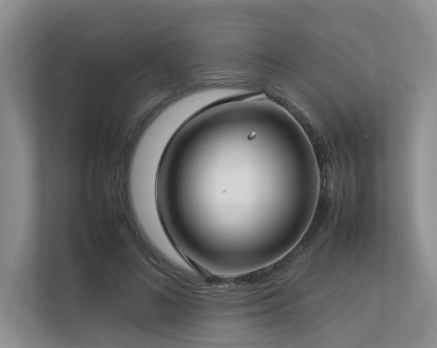 X0000112730692200908201326