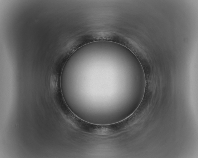 X0000112730695200908201326