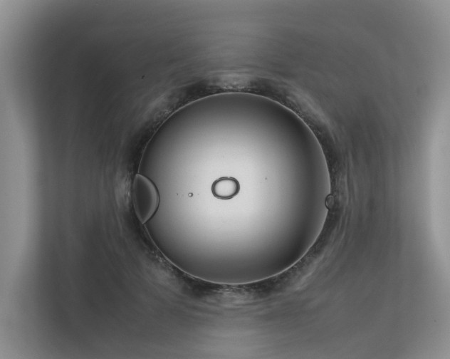 X0000112730697200908201326