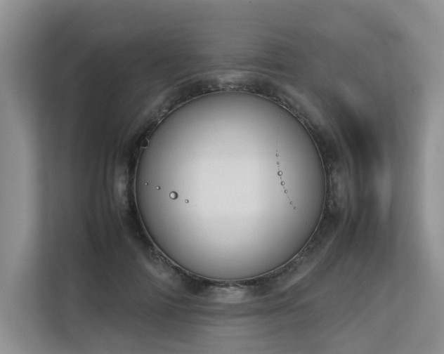 X0000112730698200908201326