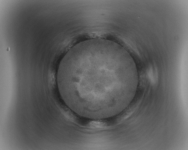 X0000112730699200908201326