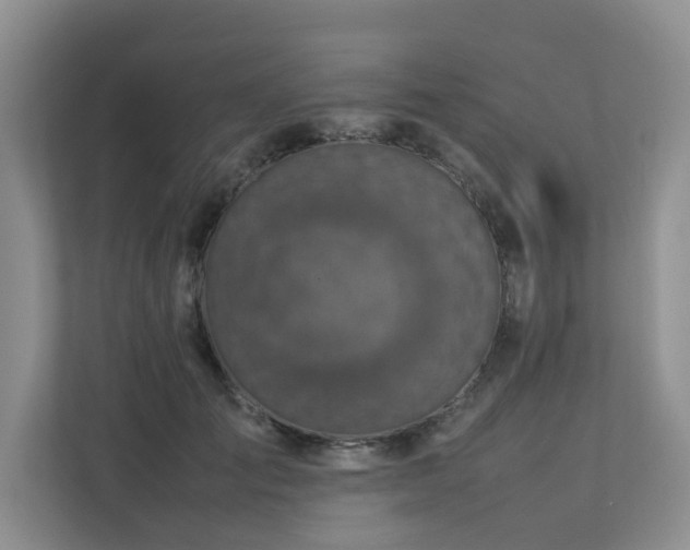 X0000112730701200908201326