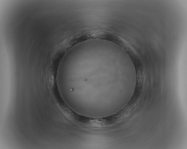 X0000112730703200908201326