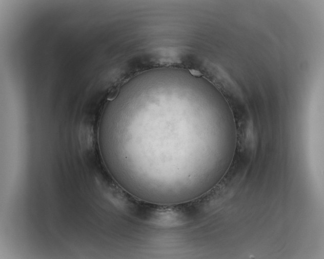 X0000112730704200908201326