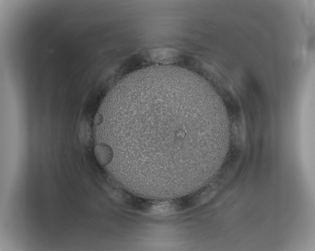 X0000112730705200908201326