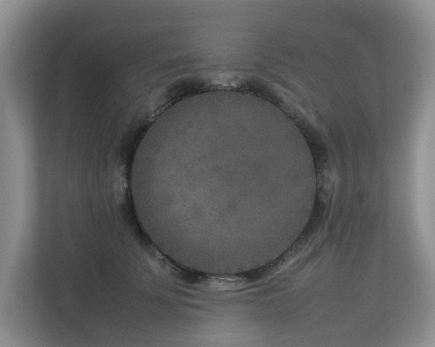 X0000112730707200908201326