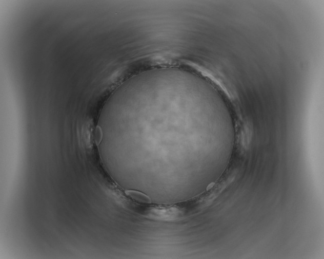 X0000112730712200908201326