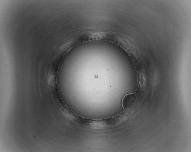 X0000112730714200908201326