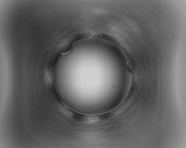 X0000112730719200908201326