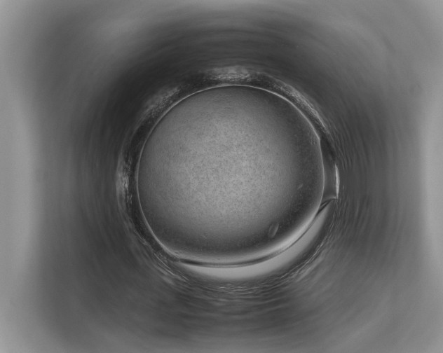 X0000112730723200908201325