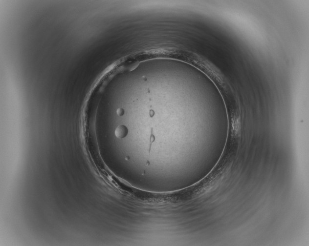 X0000112730724200908201325