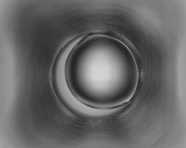 X0000112730725200908201325