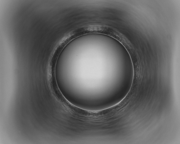 X0000112730727200908201325