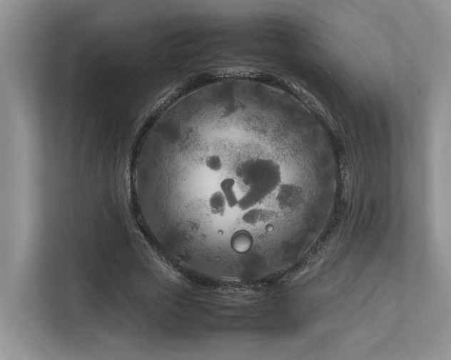 X0000112730729200908201325