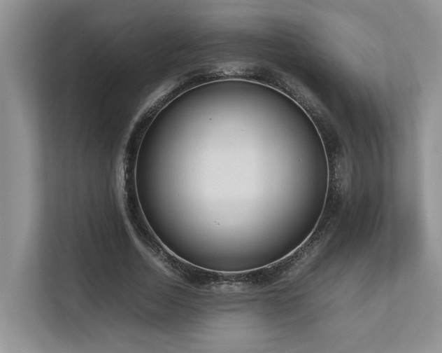 X0000112730730200908201325