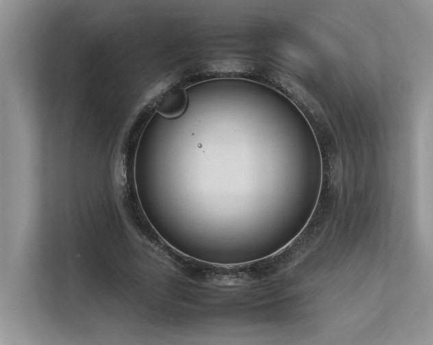 X0000112730731200908201325