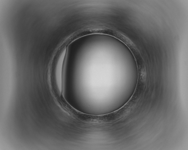 X0000112730732200908201325