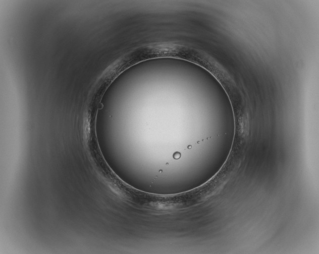 X0000112730733200908201325