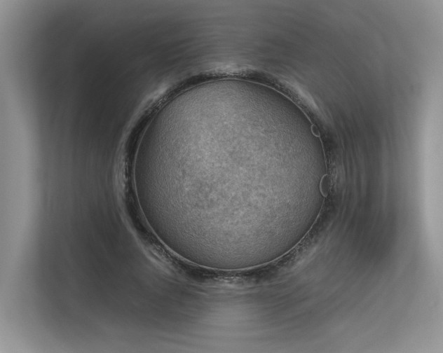 X0000112730736200908201325