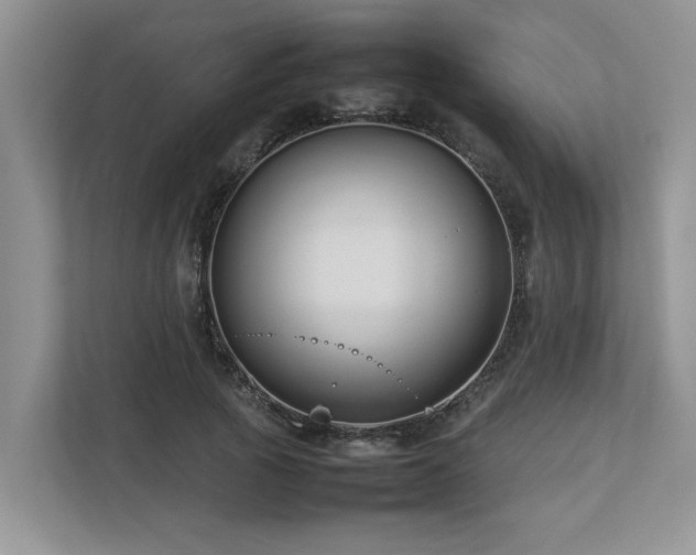 X0000112730737200908201325