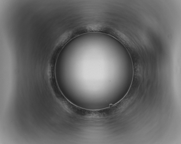 X0000112730738200908201325