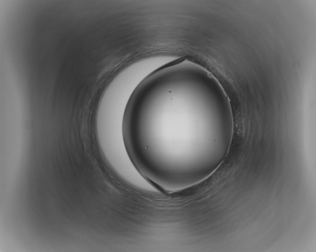 X0000112730740200908201325