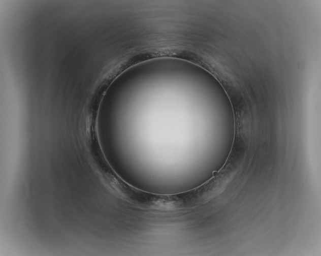 X0000112730742200908201325