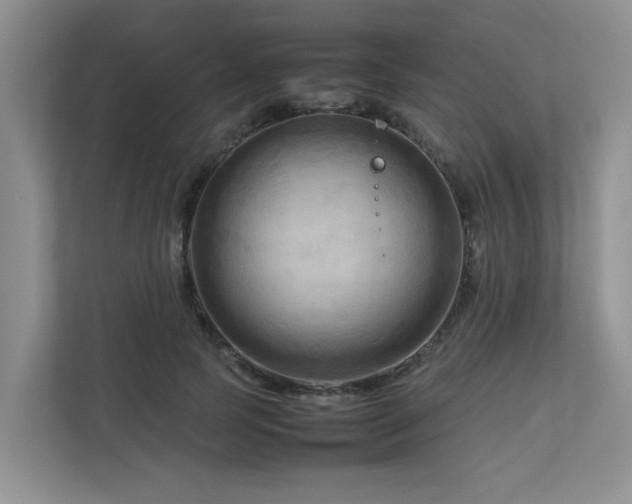 X0000112730745200908201325