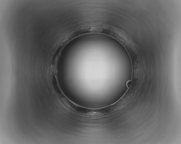 X0000112730748200908201325