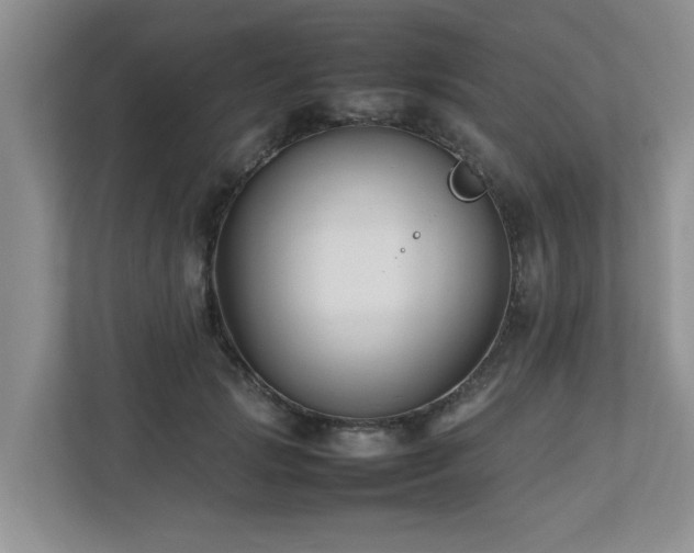 X0000112730749200908201325