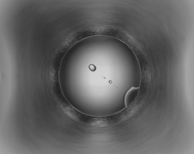 X0000112730750200908201325