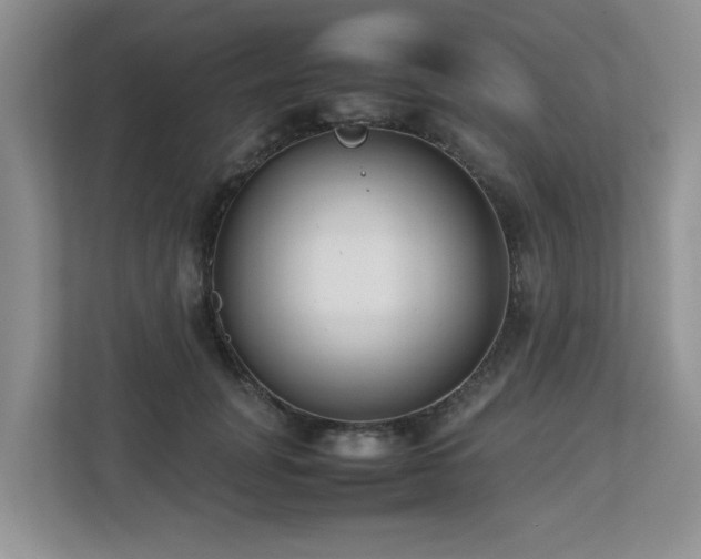 X0000112730751200908201325