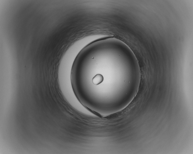 X0000112730752200908201325