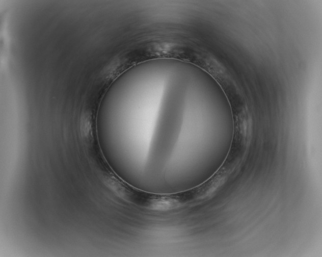 X0000112730754200908201325