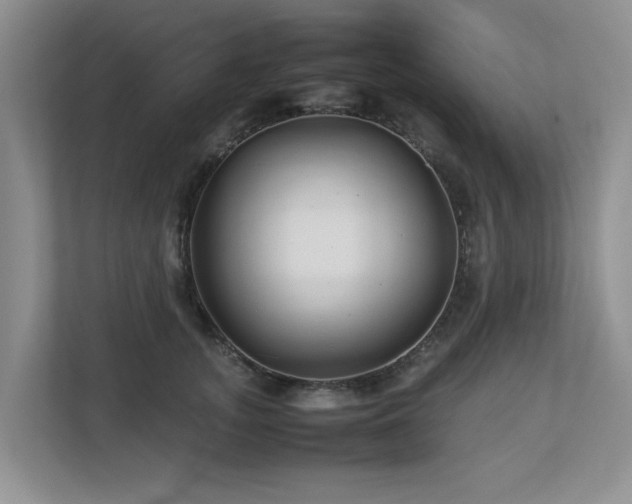 X0000112730755200908201325