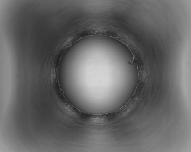 X0000112730756200908201325